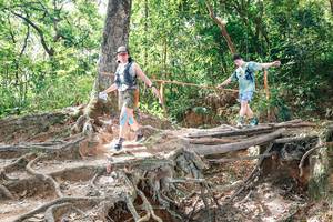 BIB: 
                            <button type="button" onclick="openModal(27721823)" class="btn btn-primary btn-sm float-right btn-popup" data-toggle="modal" data-target=".modal-high-quality">
                        <i class="fas fa-shopping-cart"></i> Add to Cart
                    </button>
                                            <button type="button" onclick="isThisMe(27721823, true)" class="btn btn-success btn-sm float-right btn-popup btn-isme hidden" data-toggle="tooltip" data-placement="bottom" title="นี่คือรูปของคุณใช่ไหม คลิกที่นี่เพื่อเอาเข้าอัลบั้ม">
                        <i class="fas fa-plus"></i> Add to album
                    </button>
                    <button type="button" onclick="isThisMe(27721823, false)" class="btn btn-warning btn-sm float-right btn-popup btn-isnotme hidden">
                        <i class="fas fa-ban"></i> Remove from album
                    </button>